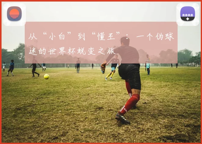 从“小白”到“懂王”：一个伪球迷的世界杯蜕变之旅